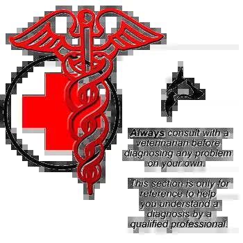 Normosol-R for Horses - Medication Guide | Furry Critter Network