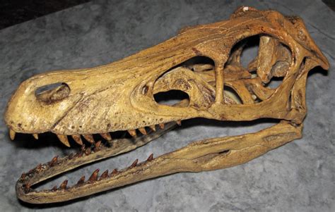 Climate Rollercoaster: The Secret History of Dinosaur Survival – Dino World