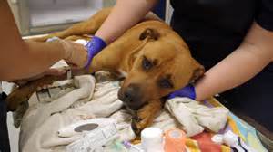 An ounce of prevention could have saved her life