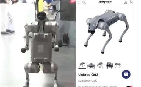 'These robot dogs are Chinese, not Indian': Galgotias thrown out of AI ...