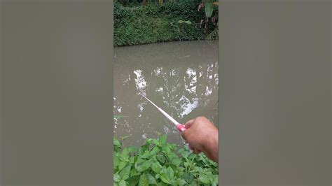 #microfishing #fishing #mancing #mancingmania - YouTube