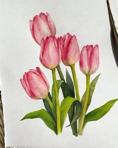 Tulips 🤍 | Tulips art, Floral painting, Flower painting