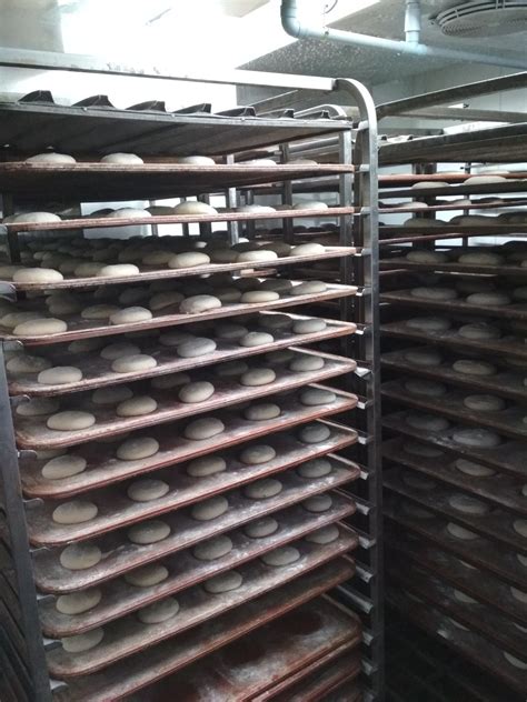 ¿ Qué es la fermentación ? - Horno Al-Madain