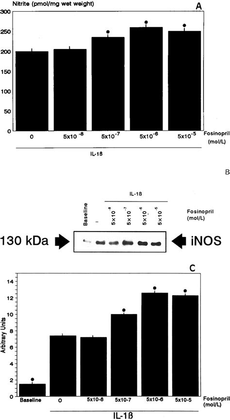 Endogenous Angiotensin II Produced by Endothelium Regulates Interleukin ...