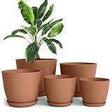 Best Ceramic Terracotta Pots Guide (2026) | Pottery Starter