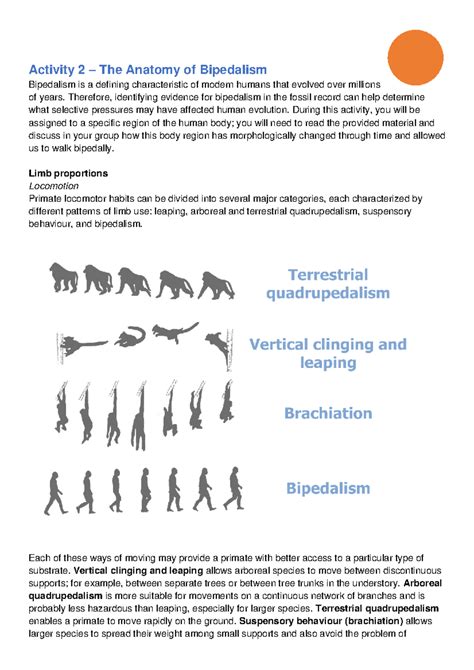 Activity 2: Exploring the Anatomy of Bipedalism in Humans - Studocu