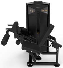 Impulse VX9528 Leg Extension/Leg Curl