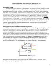 Exploring Microscopic Life: Lab Safety & Protist Diversity | Course Hero