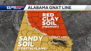 Alabama's Gnat Line: The Prehistoric Divide