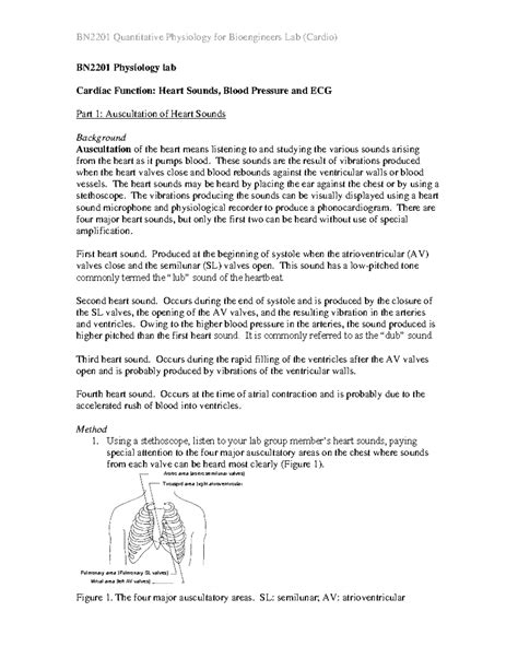 BN2201 Cardio Lab: Heart Sounds, Blood Pressure & ECG Analysis - Studocu