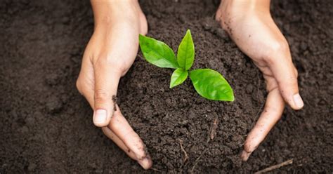 Sustainability award recognizes value across the full supply chain