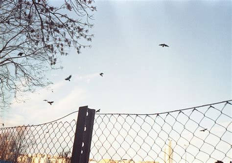 Tarot horoscope for April 14, 2026: The fog before the breakthrough - ace of wands tarot