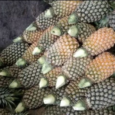 Lapak Nanas Haer, Tambora - GoFood