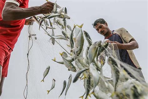 ‘Sweeping reforms in small-scale fisheries governance crucial’