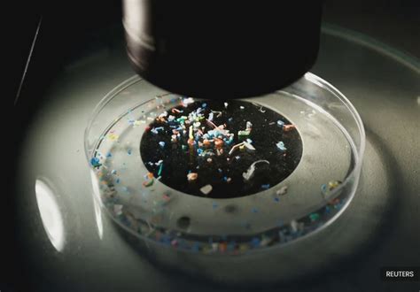 Concerns grow over microplastics as public health danger - Newswav