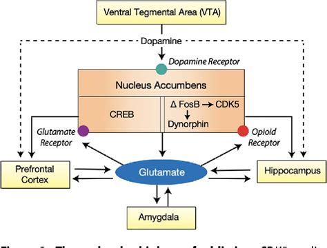 Figure 2 from Brief History of Opioids in Perioperative and ...