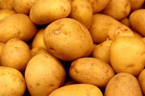 Potato in New Delhi, आलू, न्यू देल्ही - Latest Price & Mandi Rates from ...