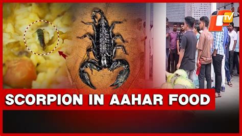 Scorpion Found In Aahar Meal Sparks Panic At State Library In Bhubaneswar
