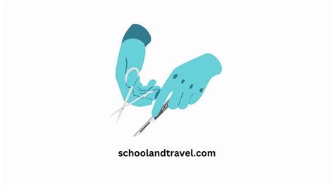 How Long Does It Take to Become a Plastic Surgeon? ⋆ ctf.bnsf.com