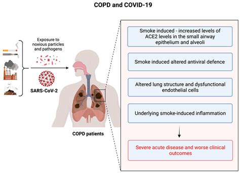 The Complex Association between COPD and COVID-19