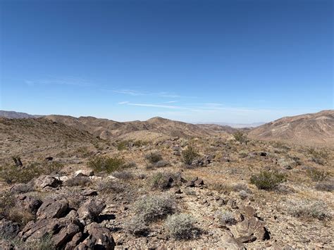 Dateline Completes A$50M Institutional Placement to Advance Colosseum ...