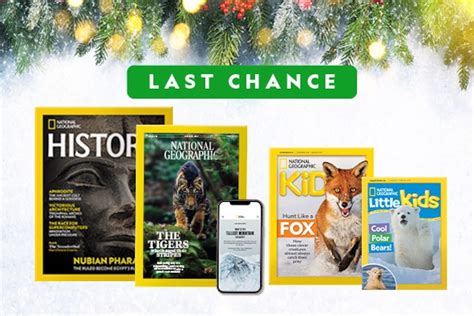 Black Death: Plague history, causes, and treatments | National Geographic