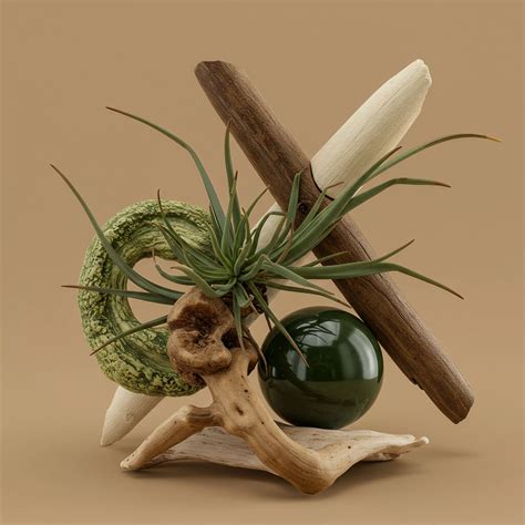 What Certification Standards Verify Biological Nutrients? → Learn