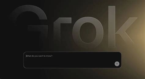 Grok Explains Camera View | Enable New AI Feature