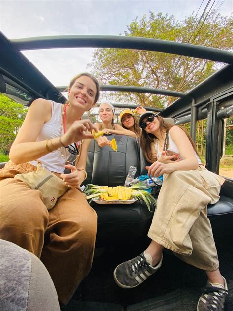 Private Jeep Safari with Elephant Expert