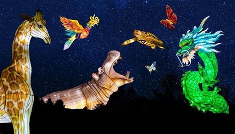 Colors of the Wild, 370 Zoo Parkway, Jacksonville, FL, United States ...