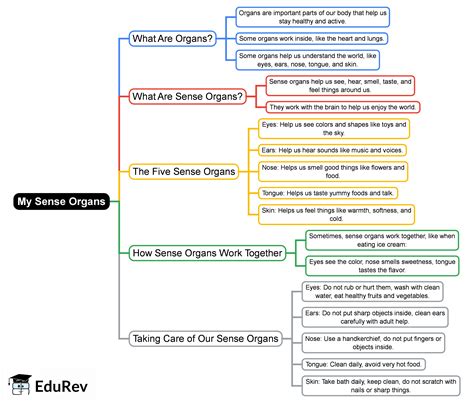 My Sense Organs Mind Map - UKG PDF Download