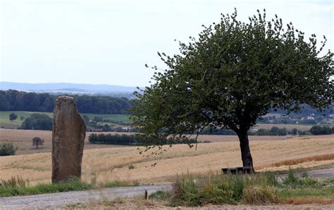 Launstroff. Le site des menhirs s’éveillera les 14 et 15 août : marche ...