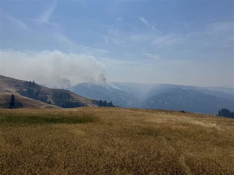 Paradise Fire in Mill Creek Watershed grows to 453 acres as teams set ...
