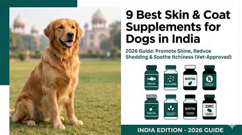 9 Best Skin & Coat Supplements for Dogs India 2026 | Vet