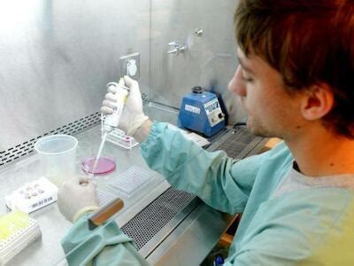 Investigadores alertan sobre riesgos en la producción y consumo de ...