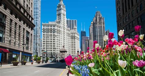 44,145 Cheap Finnair Flights from New Delhi to Chicago | KAYAK