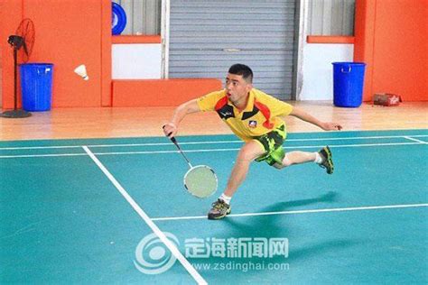 羽毛球 的图像结果