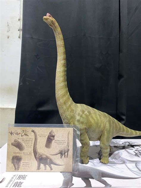 Nanmu Studio Brachiosaurus Dinosaur Figure, Hobbies & Toys, Toys ...