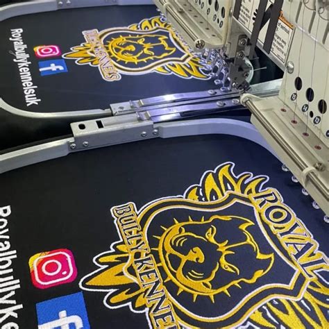 SVG to PES Converter Guide: Accurate & Clean Stitch Results Rise Digitizing