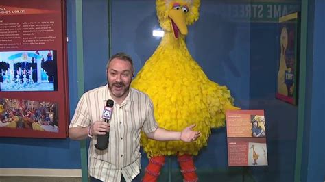 M is for Mental Health: 'Sesame Street' adds more online resources ...