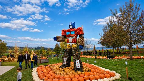 Giant pumpkin sculpture at Swiss farm festival