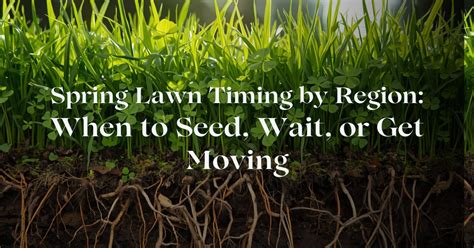 Spring Lawn Timing by Region | When to Plant Organic Lawn Seed ...
