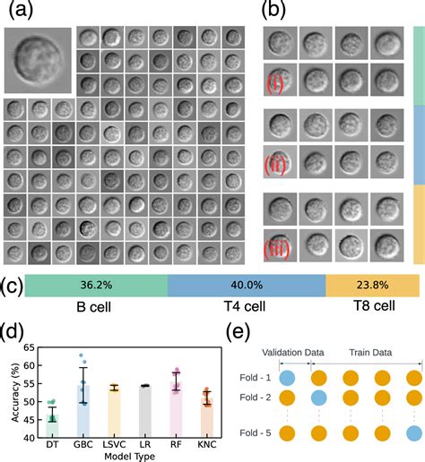 Figure 1 from Real-Time Cell Sorting with Scalable In Situ FPGA-Accelerated Deep Learning ...