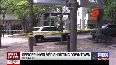 70-year-old woman rescues victim from Greenville County house fire ...