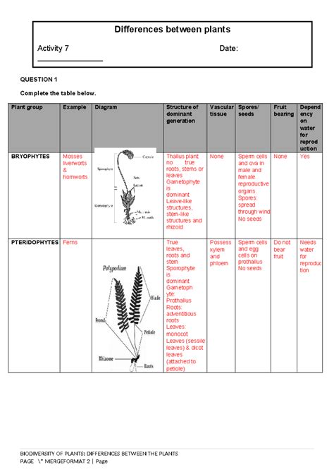 Activity 7: Biodiversity of Plants - Differences Between Plant Groups - Studocu