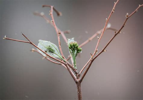 Spatial Exclusion → Area → Resource 11