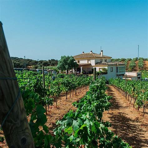 THE 10 BEST Restaurants Near Humble Earth Tours, Malaga