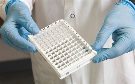 Understanding your hormones could change your health