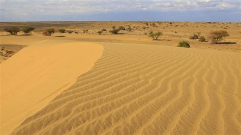 5 Days Chalbi Desert Safari Package from Nairobi, All You Need to Know ...