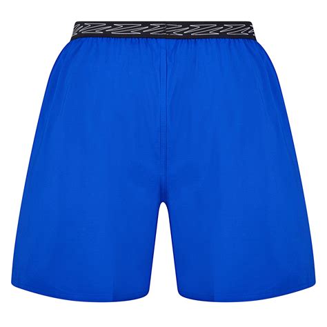 Speedo | Men's Swim Shorts | Blue | SportsDirect.com